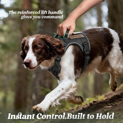 Vista 5 de rabbitgoo - Arnés para perros pequeño sin tirones, chaleco táctico de servicio con Molle y asa de control, arnés militar ajustable y reflectante