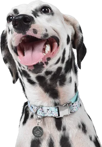 Vista 6 de Now House for Pets by Jonathan Adler Mint - Collar de terrazo, mediano, manera elegante y moderna de mantener a tu perro con un aspecto genial