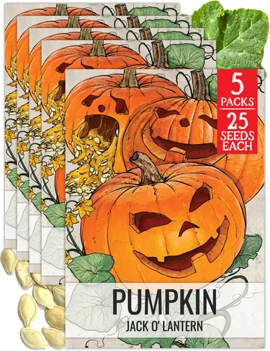 Vista 18 de Seed Needs Semillas de calabaza para plantar calabazas pequeñas de tarta de azúcar, semillas de verduras sin OMG y sin tratar para plantar un huerto