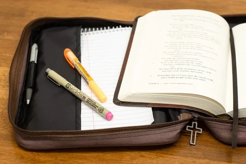 Vista 2 de Brown Eagles - Funda para Biblia de poliéster reforzado con asa, tamaño XL