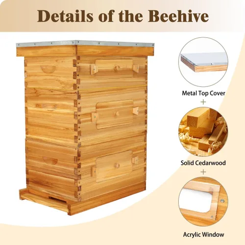 Vista 2 de BeeCastle Colmena Langstroth de 10 marcos con ventanas, colmena de abejas recubierta con cera de abejas para principiantes con marcos de colmena