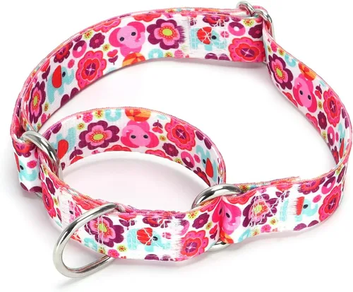 Vista 19 de Collar de perro de nailon resistente, collar ajustable de martingala para perros para caminar y entrenamiento para perros machos y hembras perros