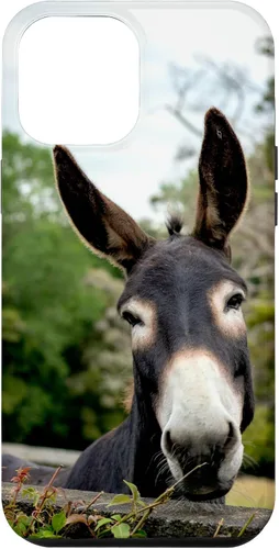 Vista 26 de Funda Donkey para iPhone 17