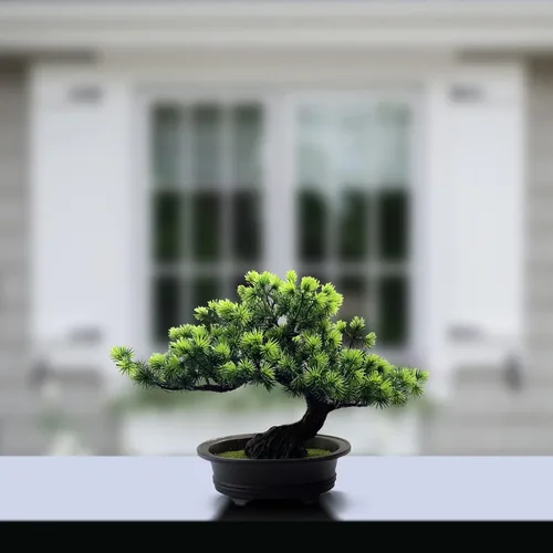 Vista 7 de Árbol bonsái de enebro artificial para decorar interiores para casa u oficina