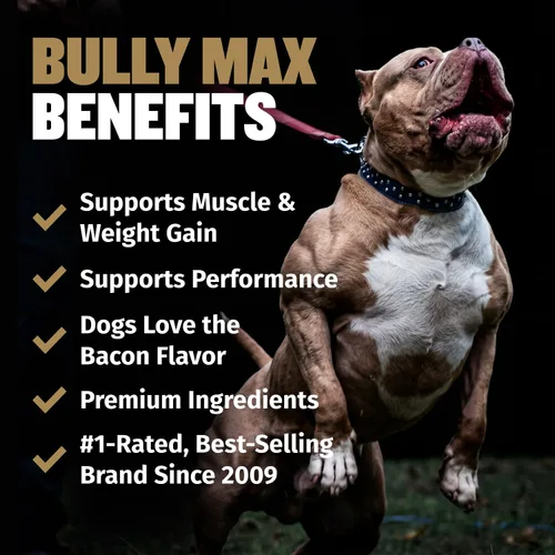 Vista 8 de Bully Max Masticables de Poder 11 en 1 para ganancia muscular, suplemento de alto contenido proteico para perros con aminoácidos, golosinas
