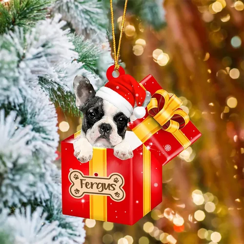 Vista 48 de Adorno de Navidad personalizado de Akita Inu, nombre personalizado Akita Inu para árbol de Navidad, en caja de regalo roja