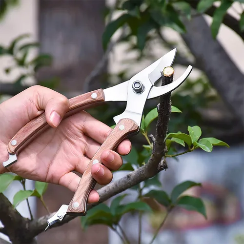 Vista 5 de BUGUI Tijeras de jardín con mango de madera de 8 pulgadas, juego de 2, incluye tijeras de podar de derivación y cortaúñas de punta recta larga