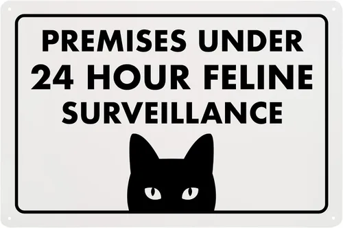 Vista 67 de Señal de Gato de 24 Horas de Vigilancia Felina de Premises Under 24 Hour - Cartel de gato divertido, metal, 8 x 12 pulgadas, letreros de gato