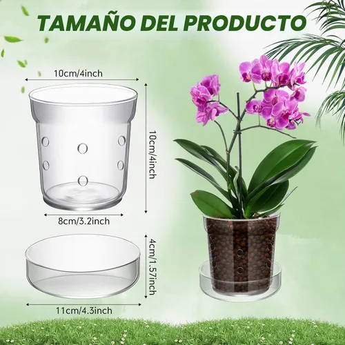 Vista 2 de Baderke 1 maceta de orquídeas con agujeros de drenaje y bandeja de cristal transparente para orquídeas, trasplante de flores, jarrón de vidrio