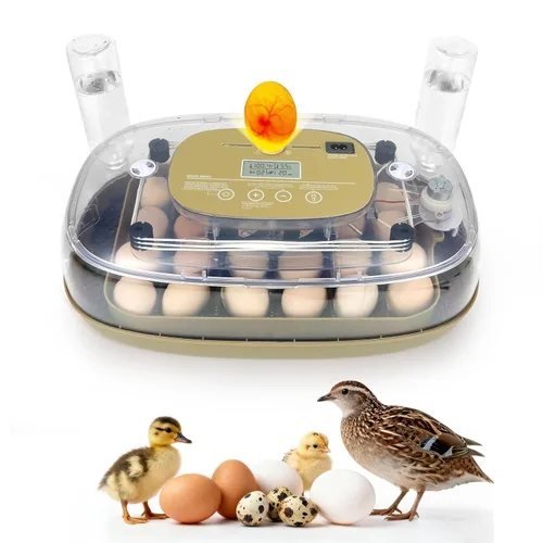 Vista 14 de Gen II - Incubadora automática de 12 huevos, humedad de dos etapas con recarga automática y control de temperatura estable, giro automático