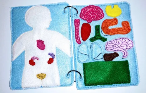 Vista 2 de Página de libro silencioso de anatomía de fieltro