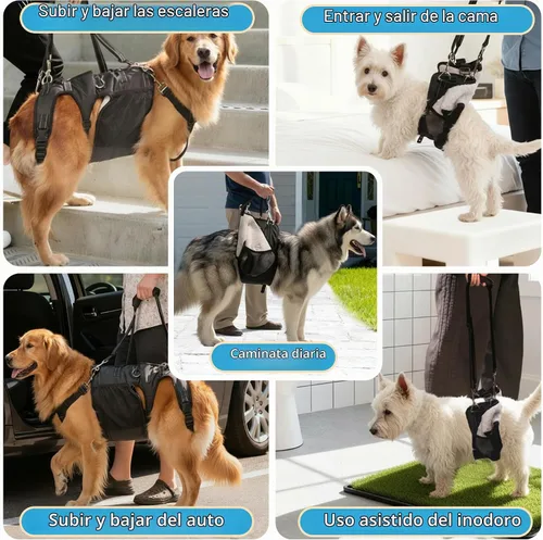 Vista 9 de Arnés doble uso para perro SyFatWeen con soporte para las patas traseras y cadera, cabestrillo canino para elevación de perro, ajustable y suave