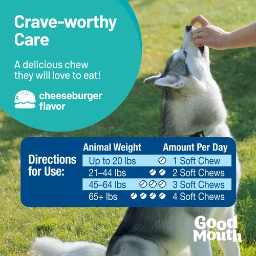 Vista 7 de Good Mouth - Masticables dentales para perros – Controla la placa y el sarro, promueve el aliento fresco, apoya la salud oral y las encías