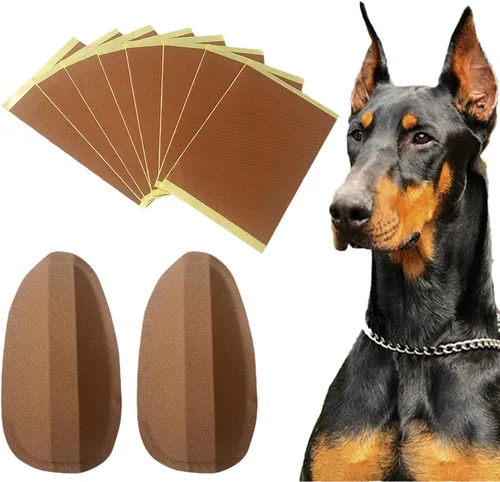 Vista 8 de Soporte de pie para orejas de perro, kit de publicación de orejas de perro, soporte de corrección de orejas de perro Herramienta fija de pie