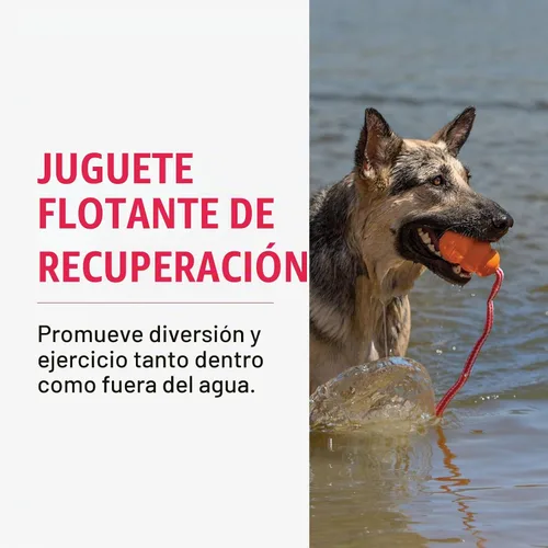 Vista 2 de KONG - Aqua - Juguete flotante para jugar en el agua - para perros medianos