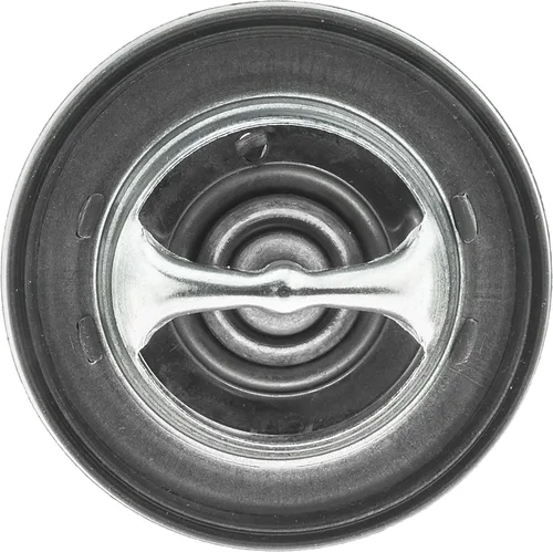 Vista 7 de Termostato UltraStat - 180 grados