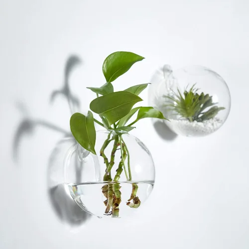 Vista 2 de Macetas colgantes de pared terrario de vidrio de aire para plantas