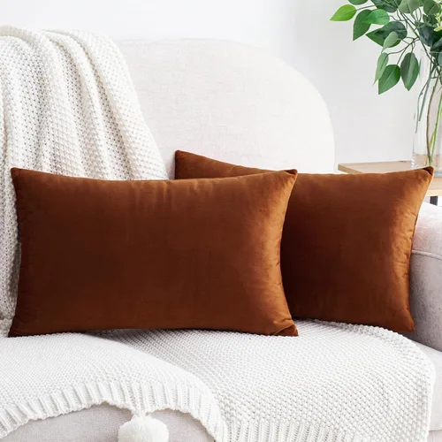 Vista 49 de HWY 50 fundas de almohada decorativas de terciopelo sólido para sofá, sala de estar., Terciopelo, gris, 20x20 pulgadas