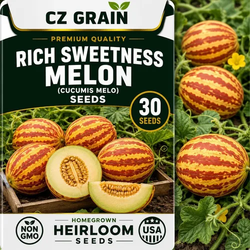 Vista 4 de CZ Grain Semillas para plantar, 40 pequeñas mezclas de calabaza