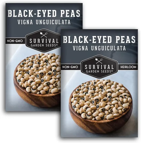 Vista 10 de Semillas de guisantes de ojos negros para plantar, variedad de caupí sin OMG de reliquia, tolerantes a la sequía, guisantes de campo sureños de alto