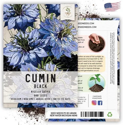 Vista 6 de Seed Needs Semillas de comino negro para plantar hierbas tradicionales sin OMG, 2 paquetes