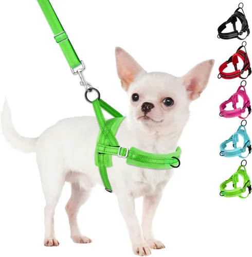 Vista 12 de SlowTon - Juego de arnés y correa para perros pequeños sin tirones, chaleco suave ajustable para cachorros para el cuello y el pecho, arnés