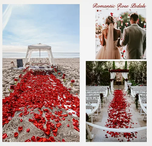 Vista 4 de Pyrrhiax 1000 pétalos de rosa artificiales, pétalos de rosa falsos para noches románticas, bodas, propuestas de decoración de flores de aniversario