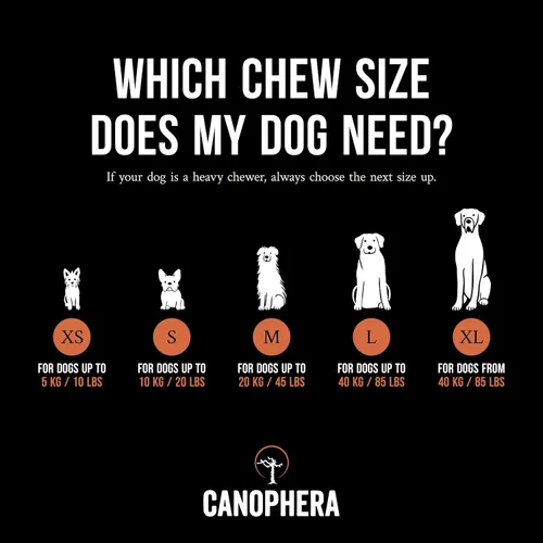 Vista 3 de Canophera Raíz masticable para perros, madera de brezo natural para dientes y encías saludables, tamaño pequeño