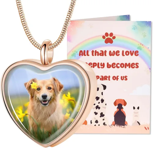 Vista 8 de Fanery Sue Collar para cenizas de mascotas, joyería de cremación, imagen personalizada y cita, regalos conmemorativos por pérdida de perro/gato