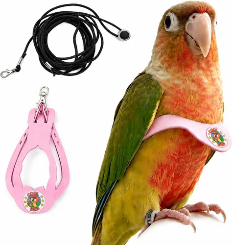 Vista 25 de Juego de arnés ajustable y correa para pájaros pequeños, apto para periquitos, conures, cacatúas, mejillas verdes, loros cuáqueros (verde, XS) 6350-6