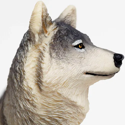 Vista 5 de Safari Ltd. Figura de juguete de lobo gris, figura detallada de plástico de 4.8 pulgadas, divertido juguete educativo para niños, niñas y niños a