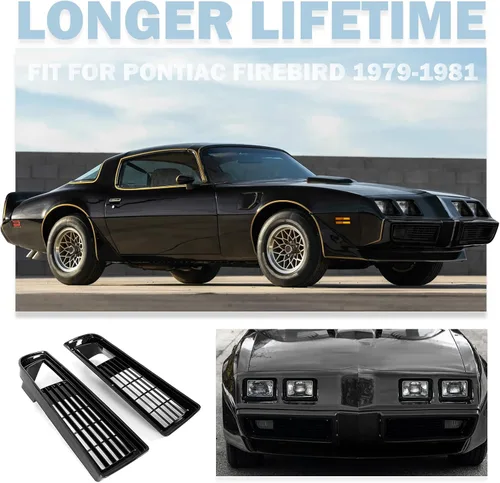 Vista 5 de AMSRPAC - Cubierta de rejilla de parachoques delantero, repuesto para parrilla de parachoques inferior compatible con Pontiac Firebird Trans Am 1979