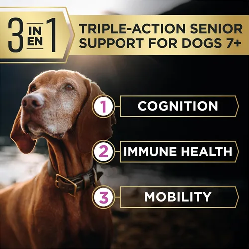 Vista 4 de Purina Pro Plan AdvantEDGE - Alimento seco para perros Senior Support 7+
