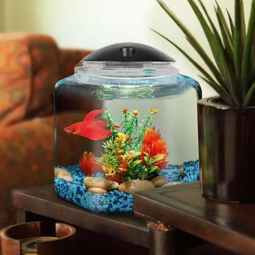 Vista 5 de Koller Products BettaTank hexagonal de 1 galón - Iluminación LED