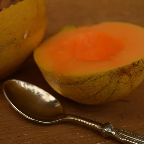 Vista 3 de Melón Minnesota Midget - 25 semillas - Variedad de melón reliquia, ideal para contenedores, pequeños cantílopes dulces, semillas de melón sin OMG