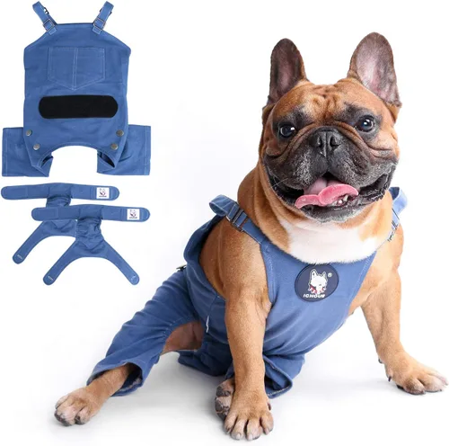 Vista 6 de iChoue Lindos pañales para perro con tirantes para bulldog francés, pug francés, bulldog inglés, hembra, en ciclo de calor, azul, pequeño con 1 pañal