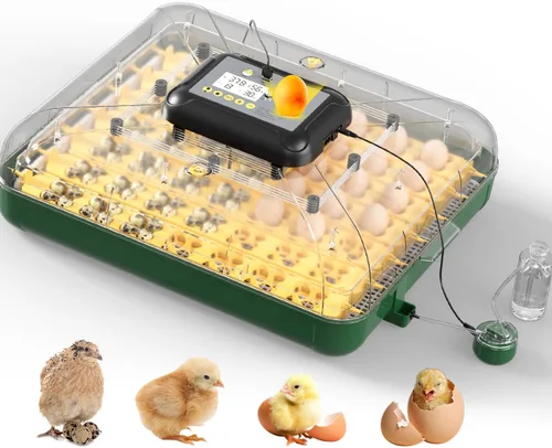 Vista 7 de Incubadoras de huevos para incubar huevos con girador automático de huevos, 8 incubadoras para huevos de gallina con vela de huevos para pollo