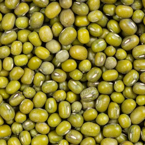 Vista 5 de Frijol verde seco entero, brotes de frijol chino, gramo verde, frijoles mung, té de hierbas nutritivo natural, gachas de avena y sopa de cocina
