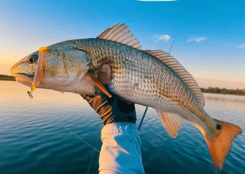 Vista 7 de Clips de pesca de velocidad de Top Water Co. - Acero inoxidable duradero, conector de señuelo rápido (varios tamaños) sizes, break strengths, pack