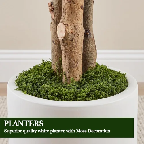 Vista 2 de Árbol de ficus artificial de 6 pies con troncos de madera real, árbol de Árbol de ficus tipo 4-6ft
