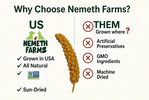 Vista 4 de Nemeth Farms Spray Millet - Tapas comestibles solamente, sin OMG y secado al sol, 1 libra para periquitos, canarios y pinzones