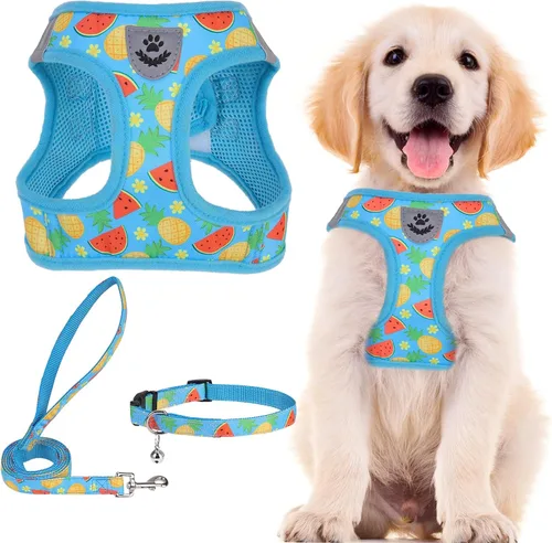 Vista 18 de PUPTECK - Arnés, collar y correa ajustables, sin tirones, para perros pequeños y medianos, cachorros y gatos, pechera reflectante acolchada de malla