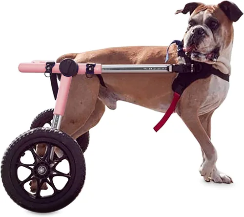 Vista 8 de Walkin' Wheels Silla de ruedas para perros, para perros grandes, de 70 a 180 libras, aprobada por veterinarios, silla de ruedas para perros