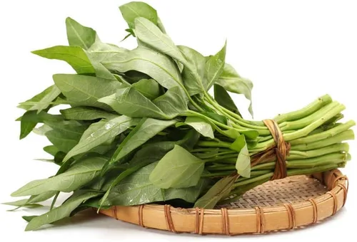Vista 8 de 2000 semillas de Kangkong para plantar - Variedad de semillas de Rau Muong Vietnam - Kong Xin CAI Ong Choy vegetal asiático para cultivo de jardines