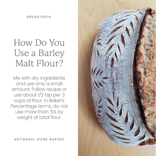 Vista 5 de breadtopia diastatic Cebada En Polvo – Orgánica