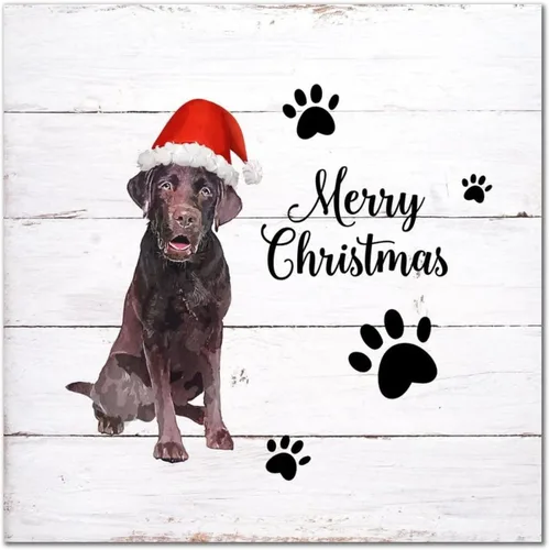 Vista 13 de Letrero de madera para perro con sombrero rojo, placa de pared rústica con reglas para mascotas, arte de pared colgante de granja, placa