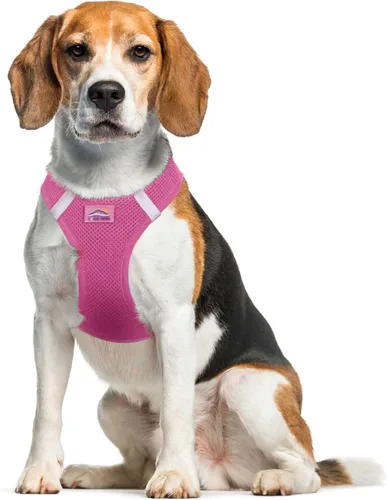 Vista 11 de DOGGIE DESIGN American River Arnés para perro Colección Camuflaje - Marrón Camo XS