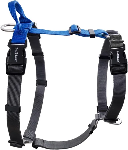 Vista 7 de Arnés para perro no restrictivo, fácil libertad de caminar, arnés sin tirones, mantiene el equilibrio, hebilla de cuello, ajuste de seis puntos, 2