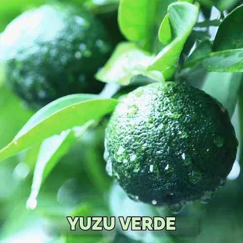 Vista 3 de Chaganju Yuzu Kosho - Pasta de pimienta, especias y condimentos