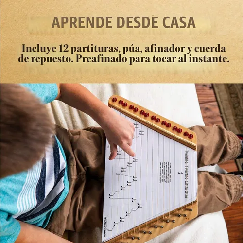 Vista 4 de Arpa de falda productor de música